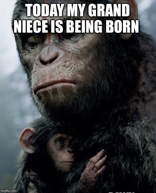 Another lil monkey to follow Koba | TODAY MY GRAND NIECE IS BEING BORN | image tagged in funny memes,baby,apesfollowkoba | made w/ Imgflip meme maker