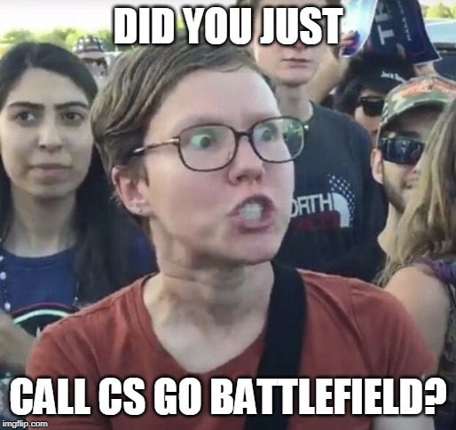 To my little brother. | DID YOU JUST; CALL CS GO BATTLEFIELD? | image tagged in triggered feminist | made w/ Imgflip meme maker