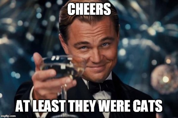 Leonardo Dicaprio Cheers Meme | CHEERS AT LEAST THEY WERE CATS | image tagged in memes,leonardo dicaprio cheers | made w/ Imgflip meme maker