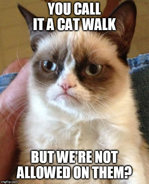 Grumpy Cat | YOU CALL IT A CAT WALK; BUT WE'RE NOT ALLOWED ON THEM? | image tagged in memes,grumpy cat | made w/ Imgflip meme maker