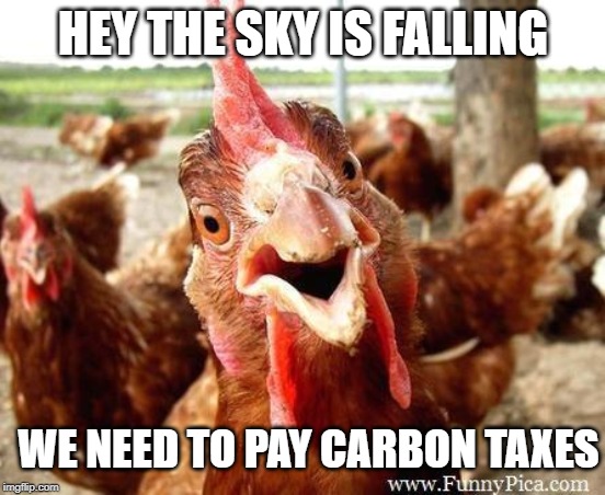 Chicken Little | HEY THE SKY IS FALLING; WE NEED TO PAY CARBON TAXES | image tagged in chicken,carbon footprint,environment,stupid liberals,idiots,meanwhile in canada | made w/ Imgflip meme maker
