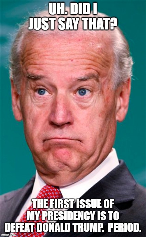 Plugs Biden stupidity | UH. DID I JUST SAY THAT? THE FIRST ISSUE OF MY PRESIDENCY IS TO DEFEAT DONALD TRUMP.  PERIOD. | image tagged in joe biden | made w/ Imgflip meme maker
