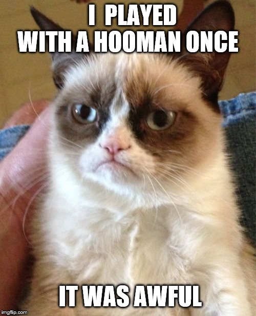 Grumpy Cat Meme | I  PLAYED WITH A HOOMAN ONCE; IT WAS AWFUL | image tagged in memes,grumpy cat | made w/ Imgflip meme maker