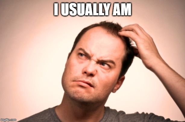 puzzled man | I USUALLY AM | image tagged in puzzled man | made w/ Imgflip meme maker
