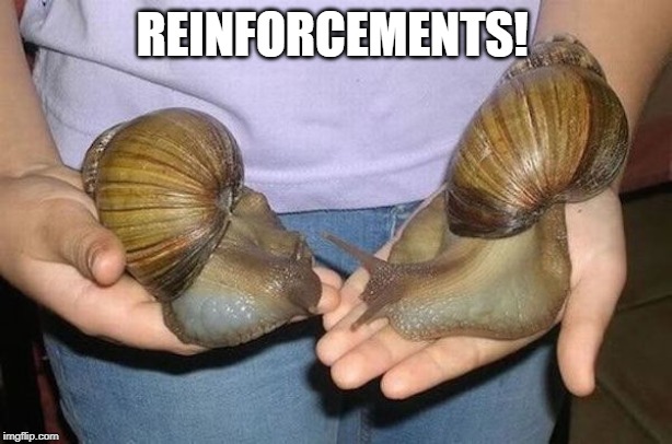 REINFORCEMENTS! | made w/ Imgflip meme maker