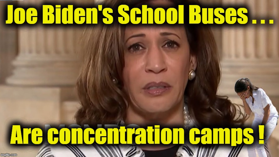 Joe Biden's School Buses | Joe Biden's School Buses . . . Are concentration camps ! | image tagged in kamala harris,joe biden,democrat debate | made w/ Imgflip meme maker