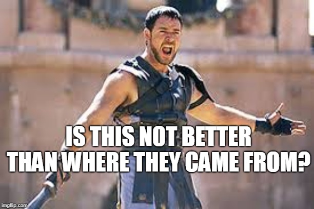 Are you not entertained | IS THIS NOT BETTER THAN WHERE THEY CAME FROM? | image tagged in are you not entertained | made w/ Imgflip meme maker