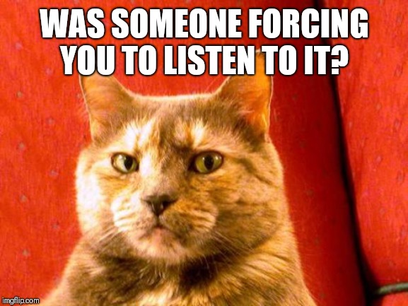 Suspicious Cat Meme | WAS SOMEONE FORCING YOU TO LISTEN TO IT? | image tagged in memes,suspicious cat | made w/ Imgflip meme maker