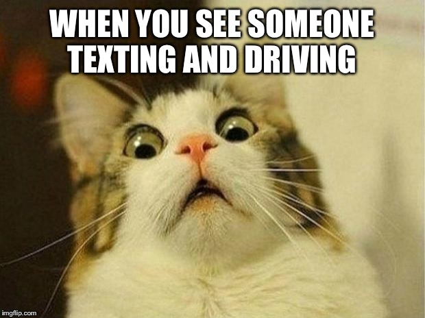 Scared Cat Meme | WHEN YOU SEE SOMEONE TEXTING AND DRIVING | image tagged in memes,scared cat | made w/ Imgflip meme maker