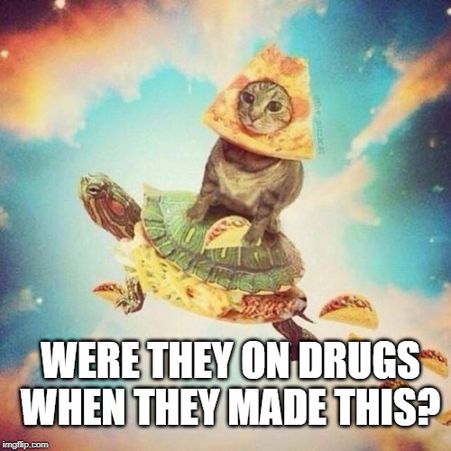 Space Pizza Cat Turtle Tacos | WERE THEY ON DRUGS WHEN THEY MADE THIS? | image tagged in space pizza cat turtle tacos | made w/ Imgflip meme maker