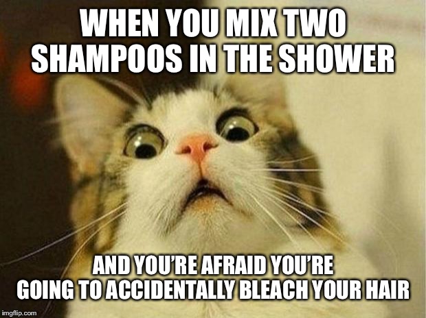 This is totally me rn | WHEN YOU MIX TWO SHAMPOOS IN THE SHOWER; AND YOU’RE AFRAID YOU’RE GOING TO ACCIDENTALLY BLEACH YOUR HAIR | image tagged in memes,scared cat,shampoo,bleach,anxiety | made w/ Imgflip meme maker