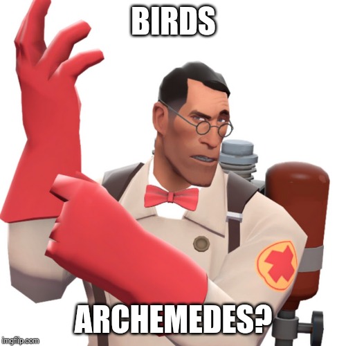 tf2 medic | BIRDS ARCHEMEDES? | image tagged in tf2 medic | made w/ Imgflip meme maker