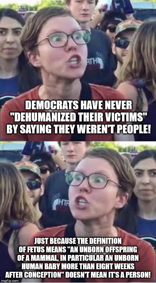 Angry Liberal Hypocrite | DEMOCRATS HAVE NEVER "DEHUMANIZED THEIR VICTIMS" BY SAYING THEY WEREN'T PEOPLE! JUST BECAUSE THE DEFINITION OF FETUS MEANS "AN UNBORN OFFSPRING OF A MAMMAL, IN PARTICULAR AN UNBORN HUMAN BABY MORE THAN EIGHT WEEKS AFTER CONCEPTION" DOESN'T MEAN IT'S A PERSON! | image tagged in angry liberal hypocrite | made w/ Imgflip meme maker