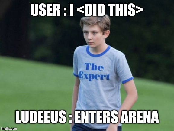 The Expert | USER : I <DID THIS>; LUDEEUS : ENTERS ARENA | image tagged in the expert | made w/ Imgflip meme maker