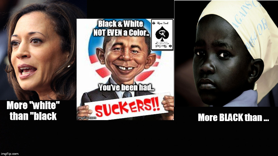 Karmela Harris Black...NOT so much | More "white" than "black; More BLACK than ... | image tagged in black or bleak,white or right,cultural appropriation,nfl built by anglo's | made w/ Imgflip meme maker