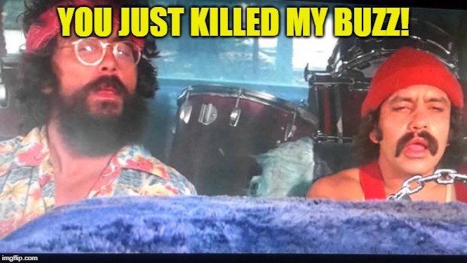 cheech and chong | YOU JUST KILLED MY BUZZ! | image tagged in cheech and chong | made w/ Imgflip meme maker