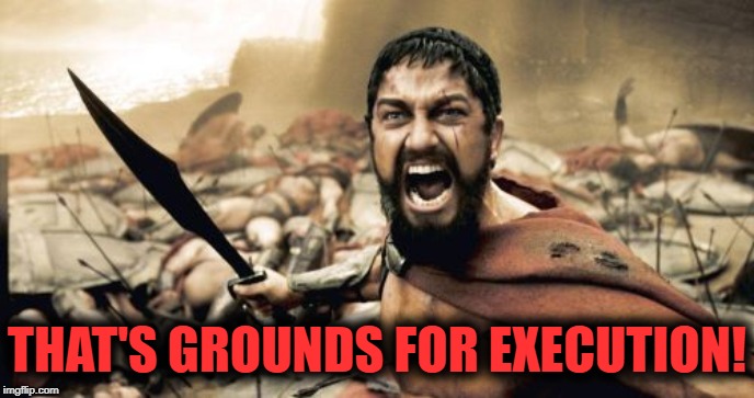 Sparta Leonidas Meme | THAT'S GROUNDS FOR EXECUTION! | image tagged in memes,sparta leonidas | made w/ Imgflip meme maker