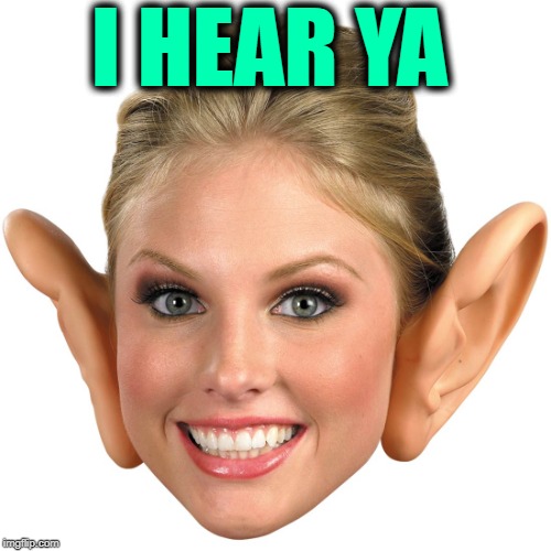 Memes, Big Ear Girl | I HEAR YA | image tagged in memes big ear girl | made w/ Imgflip meme maker