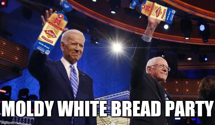 My one liberal friend keeps calling Republicans the "white bread party", so... | MOLDY WHITE BREAD PARTY | image tagged in joe biden,bernie sanders,old people,white privilege,socialism | made w/ Imgflip meme maker