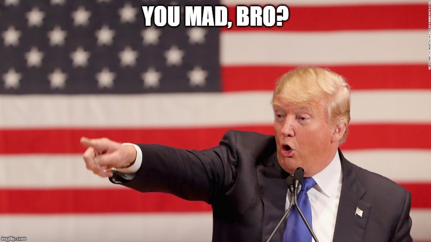Trump you mad bro | YOU MAD, BRO? | image tagged in trump you mad bro | made w/ Imgflip meme maker