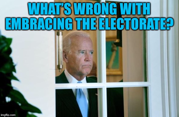 Sad Joe Biden | WHAT’S WRONG WITH EMBRACING THE ELECTORATE? | image tagged in sad joe biden | made w/ Imgflip meme maker