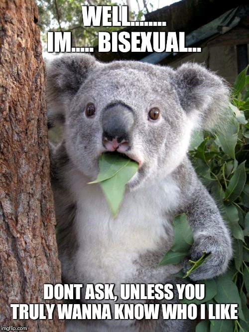 Me, im actually Bi | WELL........ IM..... BISEXUAL... DONT ASK, UNLESS YOU TRULY WANNA KNOW WHO I LIKE | image tagged in memes,surprised koala,lgbtq,bisexual | made w/ Imgflip meme maker
