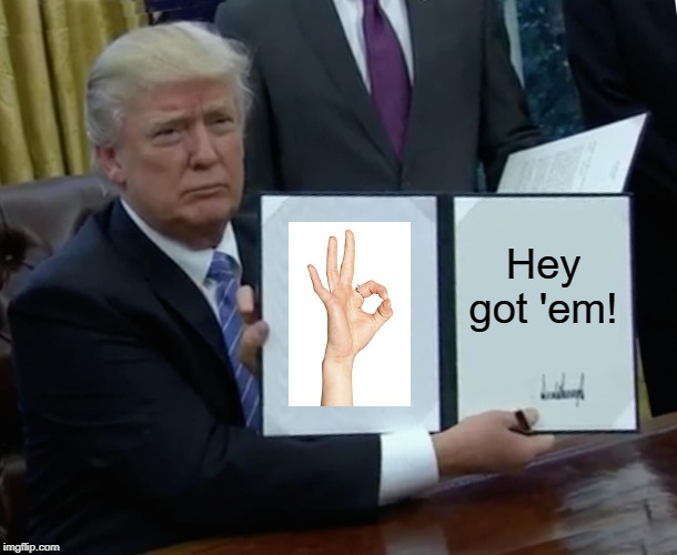 Trump Bill Signing | Hey got 'em! | image tagged in memes,trump bill signing | made w/ Imgflip meme maker