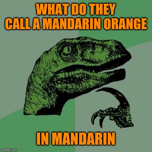 Is it just orange? | WHAT DO THEY CALL A MANDARIN ORANGE; IN MANDARIN | image tagged in memes,philosoraptor,mandarin orange,mandarin,mugatu so hot right now,chinese food | made w/ Imgflip meme maker
