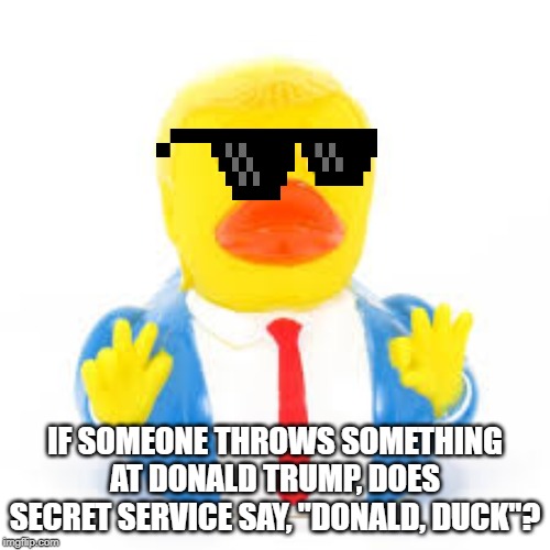 IF SOMEONE THROWS SOMETHING AT DONALD TRUMP, DOES SECRET SERVICE SAY, "DONALD, DUCK"? | image tagged in trump,donald,donald trump,trump donald | made w/ Imgflip meme maker