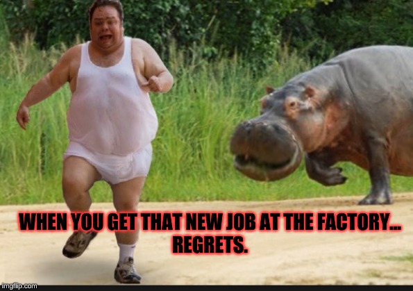 New jobs be like | WHEN YOU GET THAT NEW JOB AT THE FACTORY...
REGRETS. | image tagged in jobs,life,fat guy,angry hippo | made w/ Imgflip meme maker