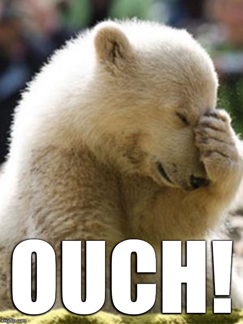 Facepalm Bear Meme | OUCH! | image tagged in memes,facepalm bear | made w/ Imgflip meme maker