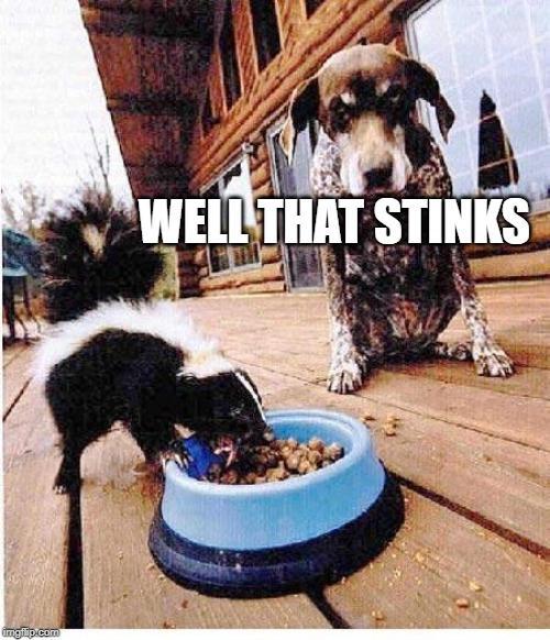 Skunk eats dog's food | WELL THAT STINKS | image tagged in skunk eats dog's food | made w/ Imgflip meme maker