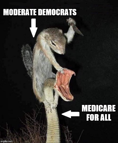 First 2020 Democratic Primary | MODERATE DEMOCRATS; MEDICARE FOR ALL | image tagged in democrats,medicare for all,meth squirrel | made w/ Imgflip meme maker