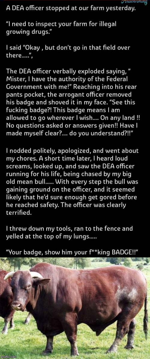 Badge Vs. Bull | image tagged in officer,jokes,funny memes,farmer,cops,badges | made w/ Imgflip meme maker