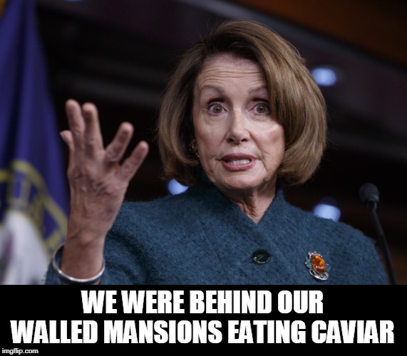 Good old Nancy Pelosi | WE WERE BEHIND OUR WALLED MANSIONS EATING CAVIAR | image tagged in good old nancy pelosi | made w/ Imgflip meme maker