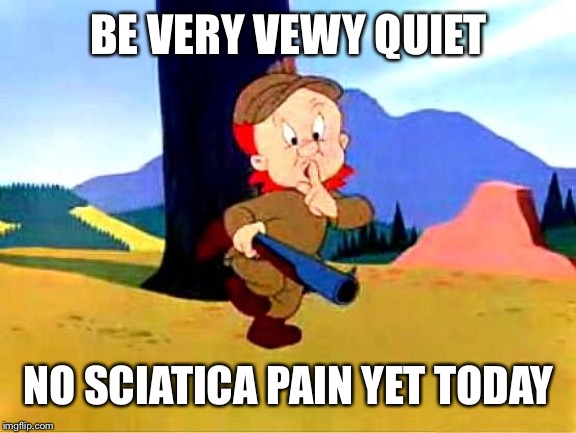 Elmer Fudd | BE VERY VEWY QUIET; NO SCIATICA PAIN YET TODAY | image tagged in elmer fudd | made w/ Imgflip meme maker