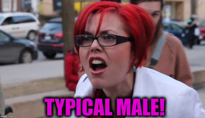 TYPICAL MALE! | image tagged in sjw | made w/ Imgflip meme maker