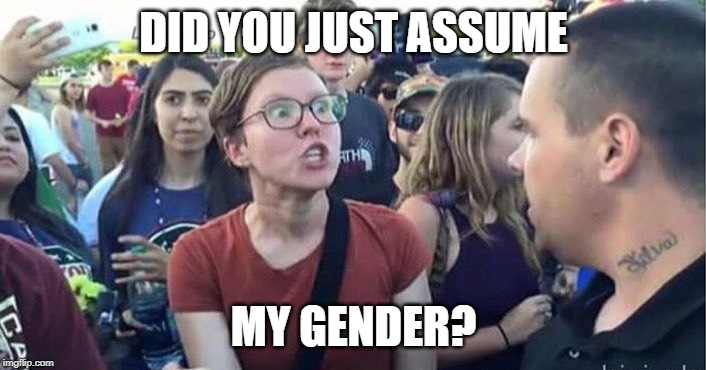 Did you just assume my gender | DID YOU JUST ASSUME MY GENDER? | image tagged in did you just assume my gender | made w/ Imgflip meme maker