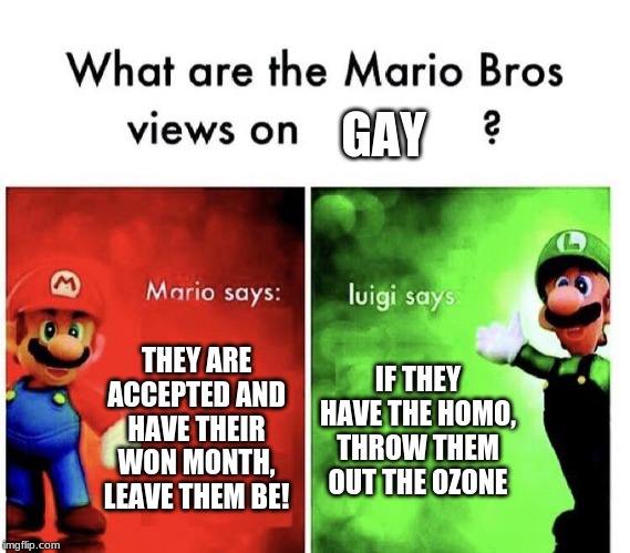 Mario Bros Views | GAY; THEY ARE ACCEPTED AND HAVE THEIR WON MONTH, LEAVE THEM BE! IF THEY HAVE THE HOMO, THROW THEM OUT THE OZONE | image tagged in mario bros views | made w/ Imgflip meme maker