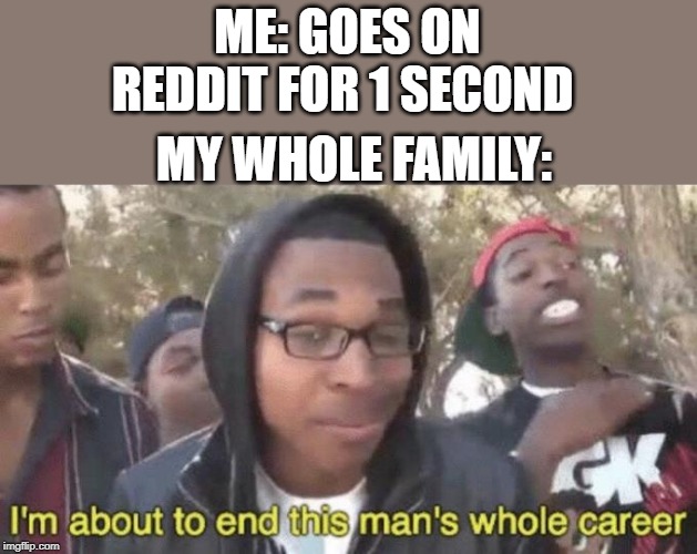 I’m about to end this man’s whole career | ME: GOES ON REDDIT FOR 1 SECOND; MY WHOLE FAMILY: | image tagged in im about to end this mans whole career | made w/ Imgflip meme maker