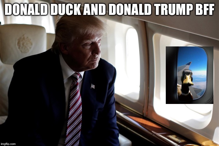 Trump looks out plane window | DONALD DUCK AND DONALD TRUMP BFF | image tagged in trump looks out plane window | made w/ Imgflip meme maker