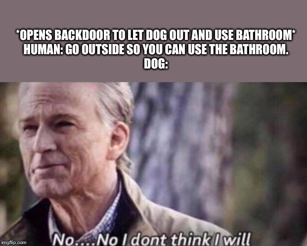 no i don't think i will | *OPENS BACKDOOR TO LET DOG OUT AND USE BATHROOM*




HUMAN: GO OUTSIDE SO YOU CAN USE THE BATHROOM.





DOG: | image tagged in no i don't think i will | made w/ Imgflip meme maker