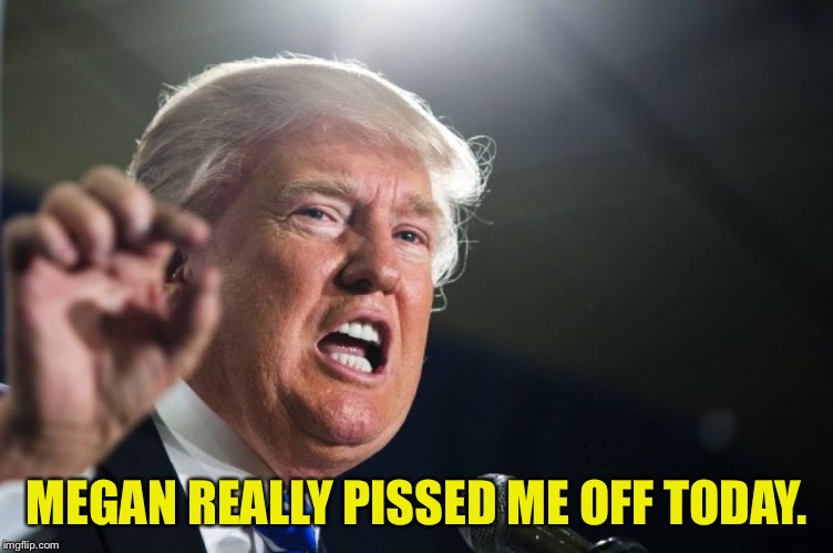 donald trump | MEGAN REALLY PISSED ME OFF TODAY. | image tagged in donald trump | made w/ Imgflip meme maker