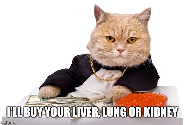 I’LL BUY YOUR LIVER, LUNG OR KIDNEY | made w/ Imgflip meme maker