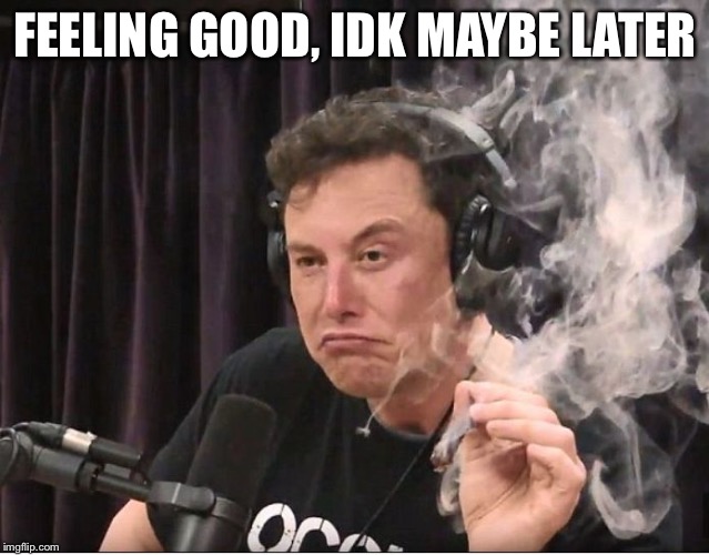 Elon Musk smoking a joint | FEELING GOOD, IDK MAYBE LATER | image tagged in elon musk smoking a joint | made w/ Imgflip meme maker