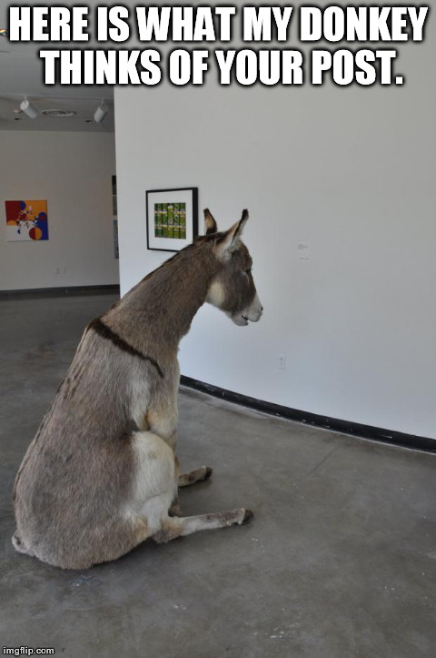 HERE IS WHAT MY DONKEY THINKS OF YOUR POST. | image tagged in donkey | made w/ Imgflip meme maker