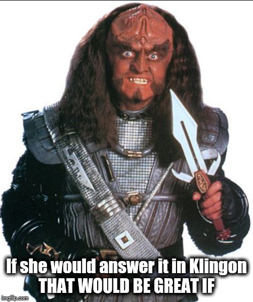 Klingon Warrior | If she would answer it in Klingon
THAT WOULD BE GREAT IF | image tagged in klingon warrior | made w/ Imgflip meme maker