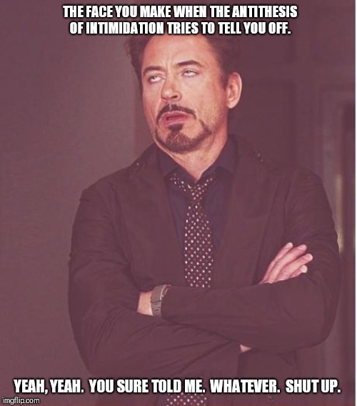 It's an occupational hazard. | THE FACE YOU MAKE WHEN THE ANTITHESIS OF INTIMIDATION TRIES TO TELL YOU OFF. YEAH, YEAH.  YOU SURE TOLD ME.  WHATEVER.  SHUT UP. | image tagged in memes,face you make robert downey jr | made w/ Imgflip meme maker