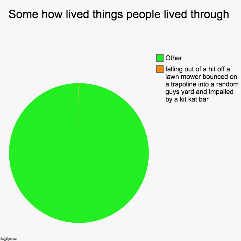 Some how lived things people lived through | falling out of a hit off a lawn mower bounced on a trapoline into a random guys yard and impail | image tagged in charts,pie charts | made w/ Imgflip chart maker