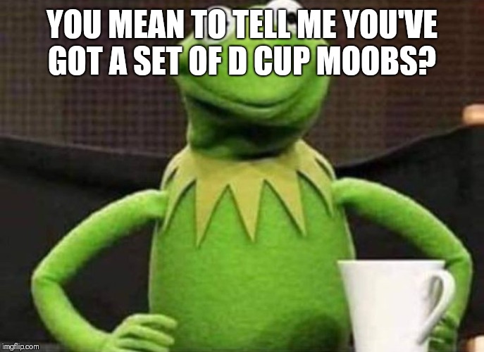 YOU MEAN TO TELL ME YOU'VE GOT A SET OF D CUP MOOBS? | made w/ Imgflip meme maker